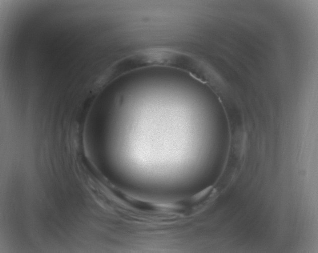 X0000083600413200702091225