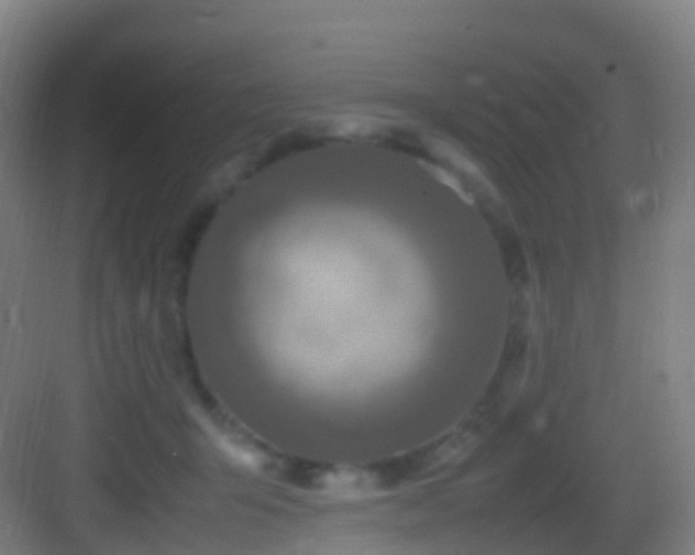 X0000083600415200702091225