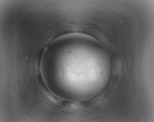 X0000083600420200702091225