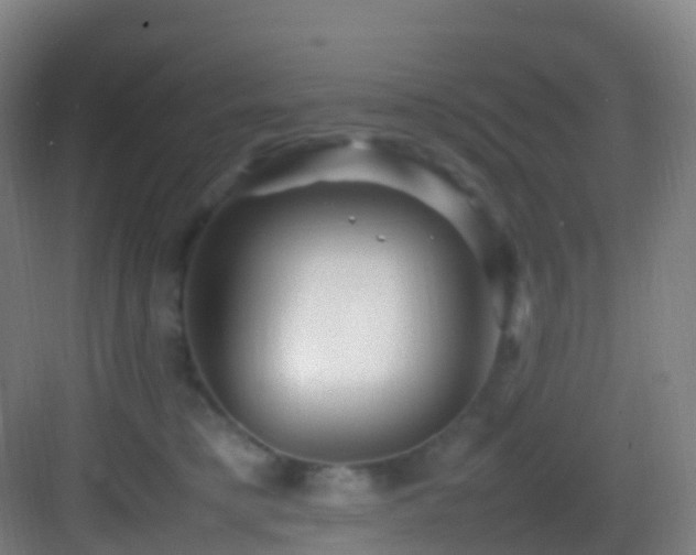 X0000083600421200702091225