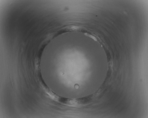 X0000083600423200702091225