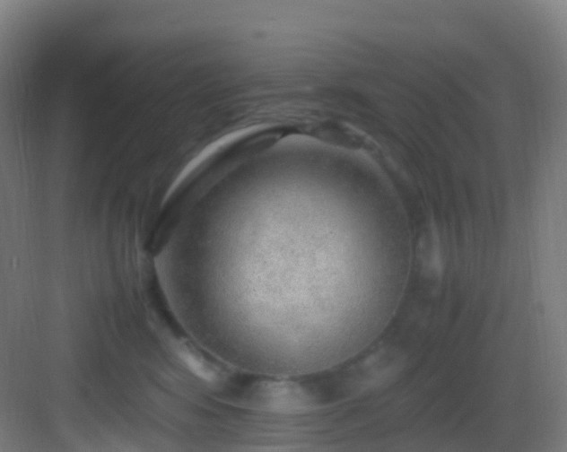 X0000083600424200702091225