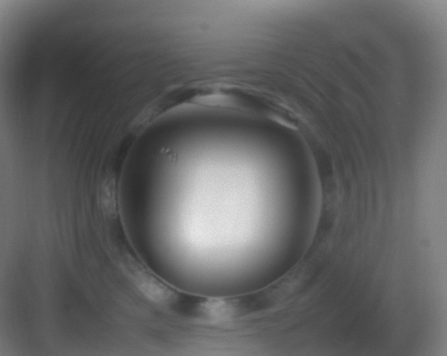 X0000083600425200702091225