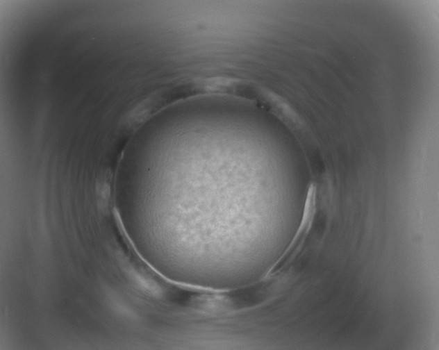 X0000083600427200702091225