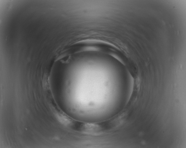 X0000083600429200702091225