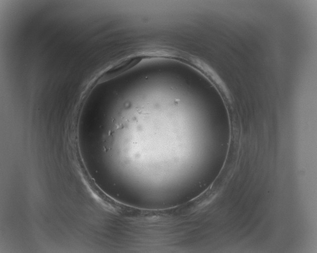 X0000083600433200702091224