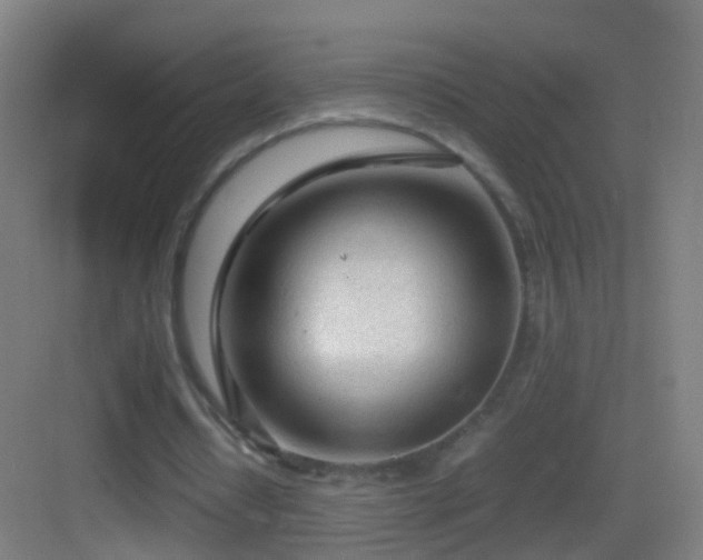 X0000083600434200702091224