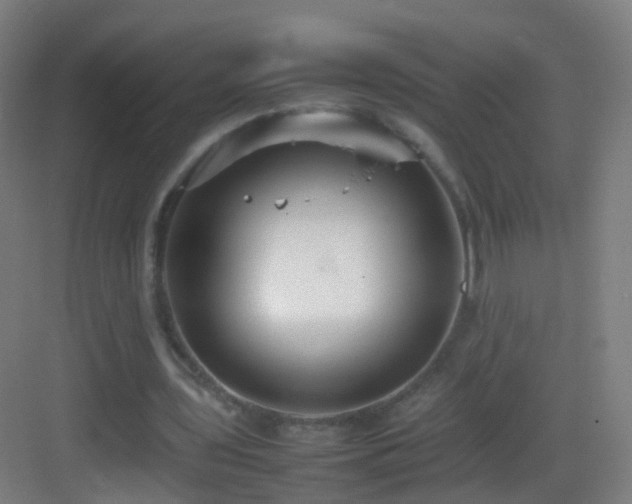 X0000083600435200702091224