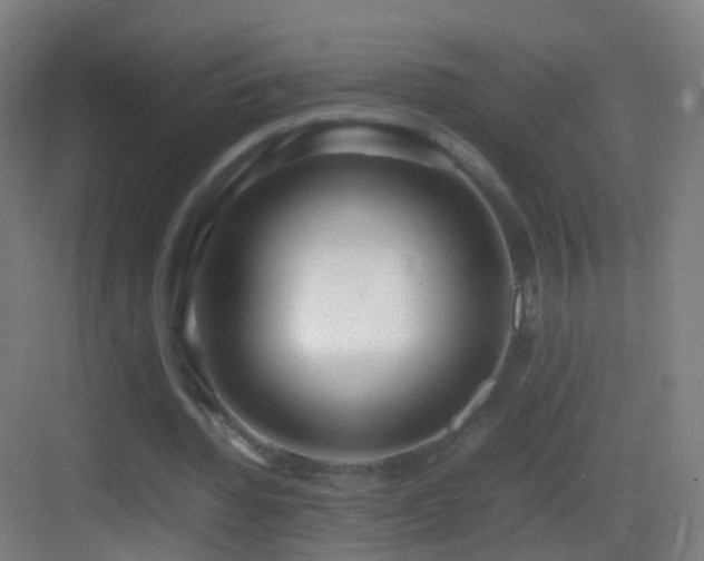 X0000083600436200702091224