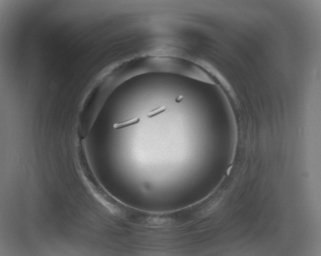 X0000083600437200702091224