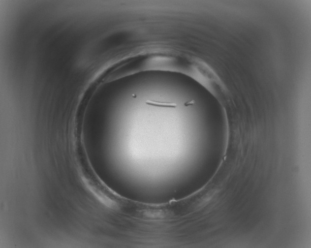 X0000083600439200702091224