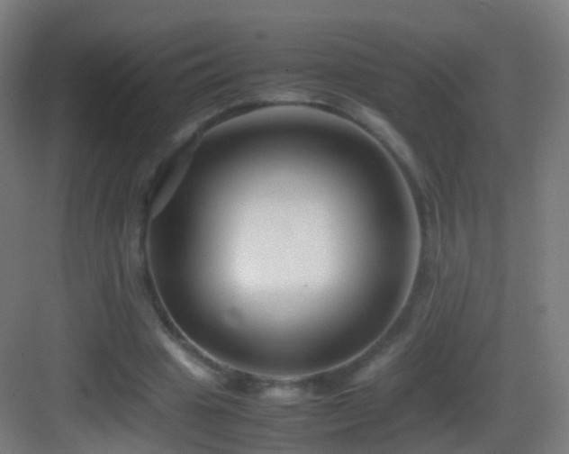 X0000083600441200702091224