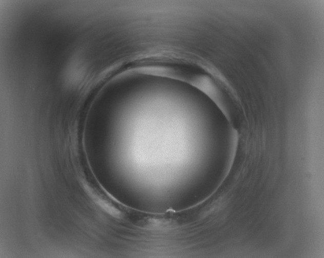 X0000083600442200702091224