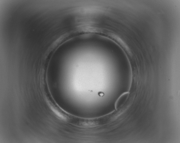 X0000083600445200702091224