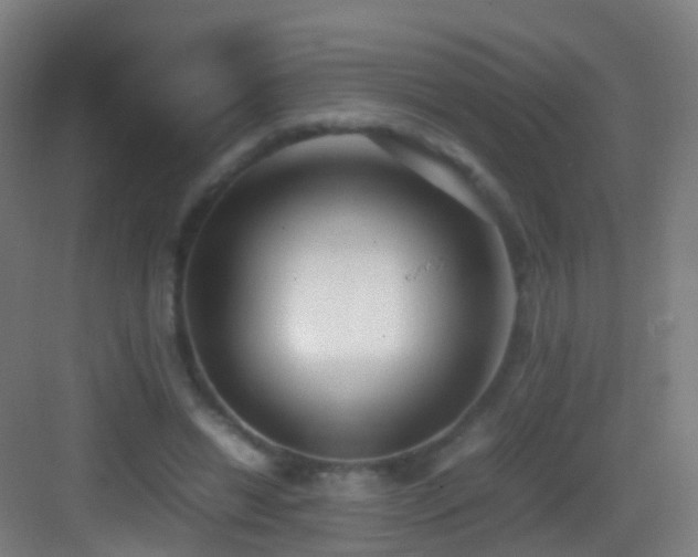 X0000083600446200702091224