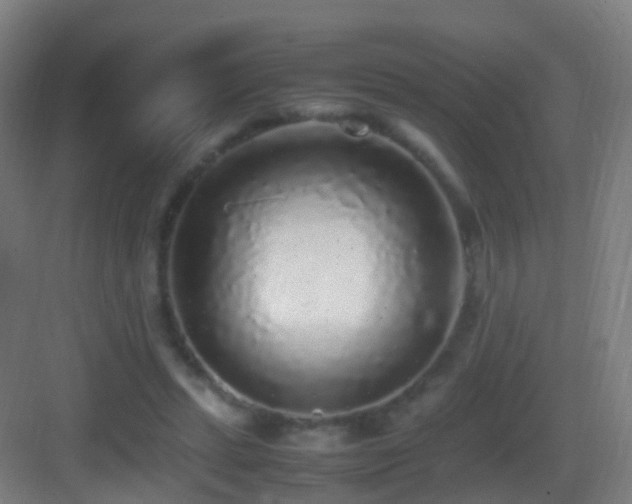 X0000083600447200702091224