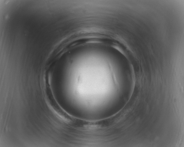 X0000083600448200702091224