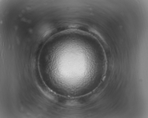 X0000083600451200702091224