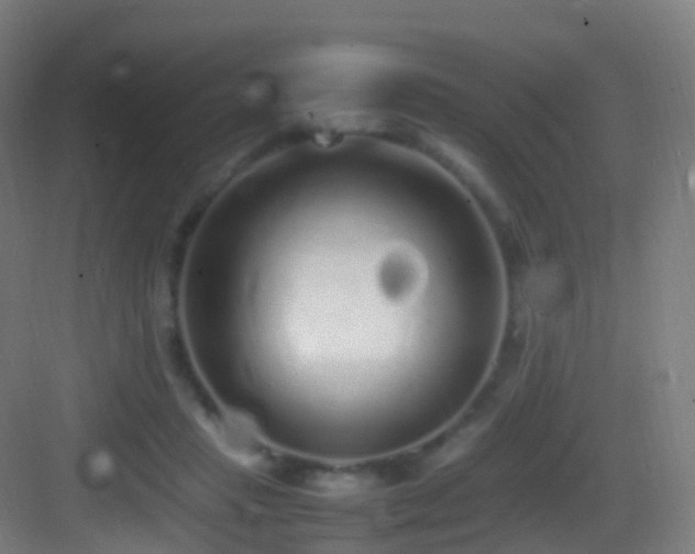 X0000083600453200702091224