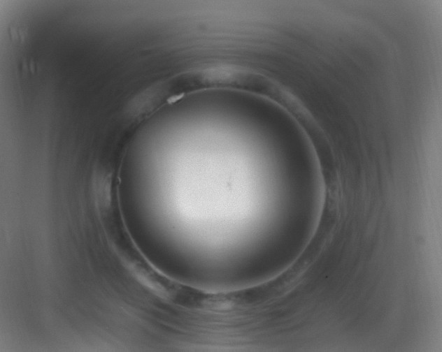 X0000083600454200702091224