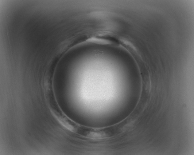 X0000083600455200702091224