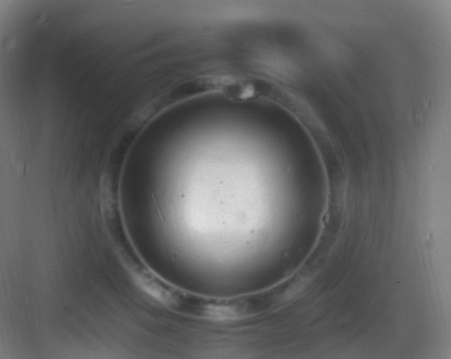 X0000083600457200702091224