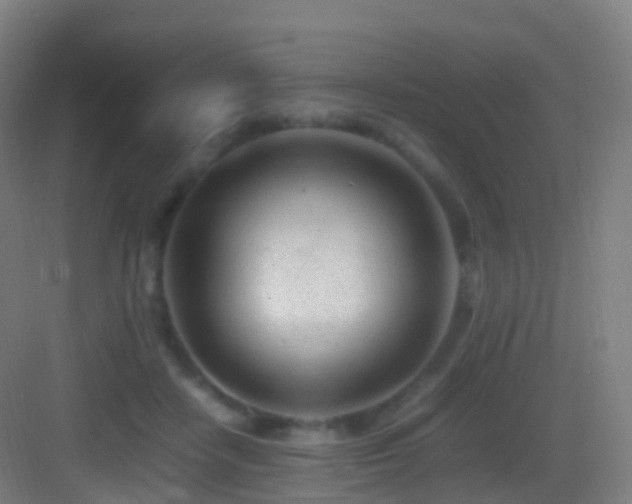 X0000083600458200702091224