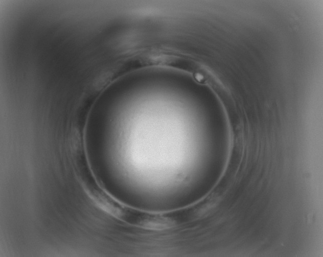 X0000083600459200702091224