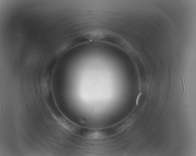 X0000083600460200702091224