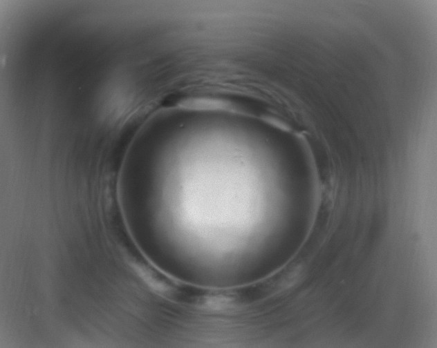 X0000083600462200702091224