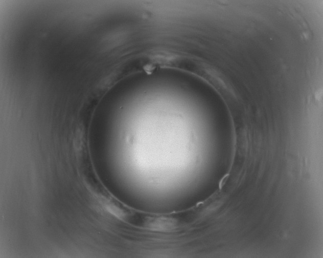 X0000083600463200702091224