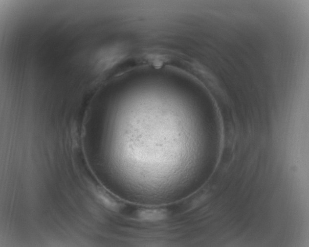 X0000083600465200702091224