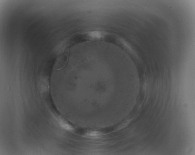 X0000083600467200702091224