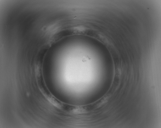 X0000083600468200702091224