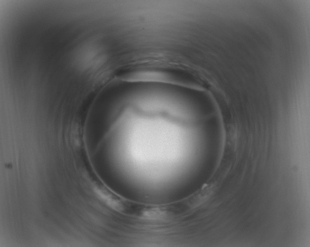 X0000083600470200702091224