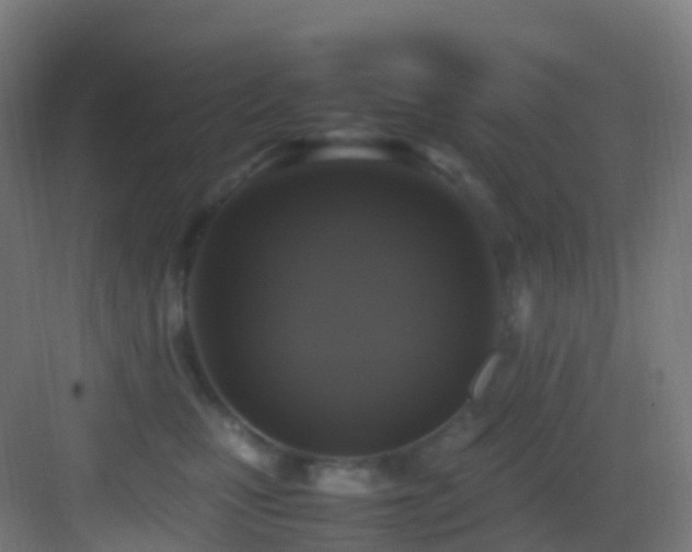 X0000083600471200702091224