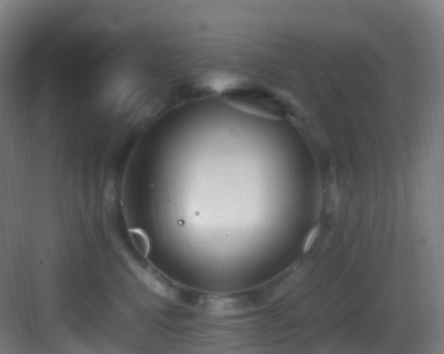 X0000083600472200702091224