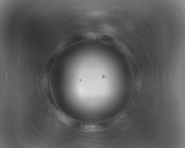 X0000083600473200702091224