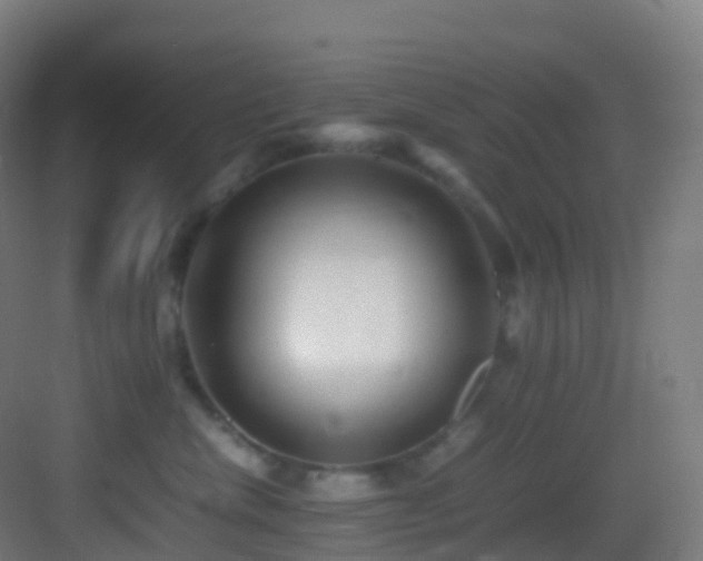 X0000083600476200702091225