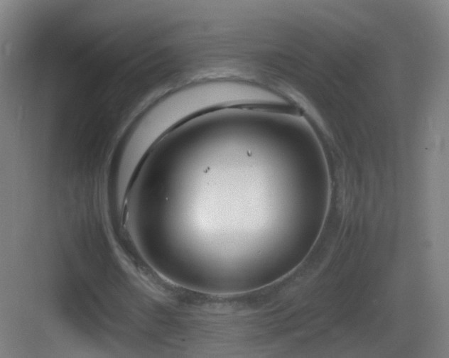 X0000083600482200702091224