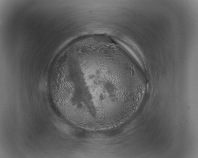 X0000083600483200702091224