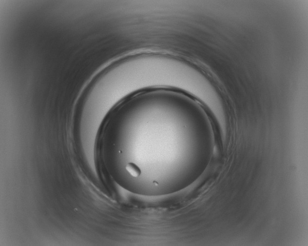 X0000083600484200702091224