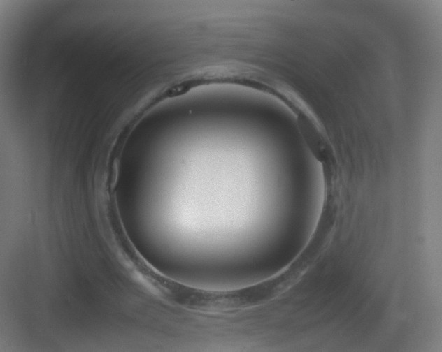 X0000083600485200702091224