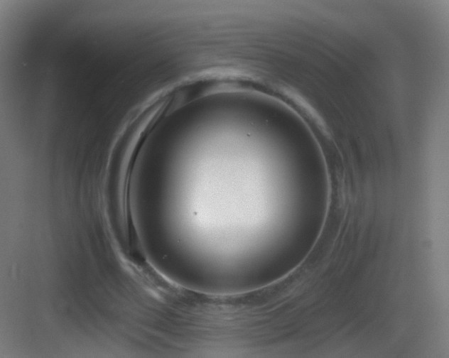 X0000083600486200702091224