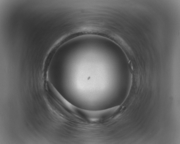 X0000083600488200702091224