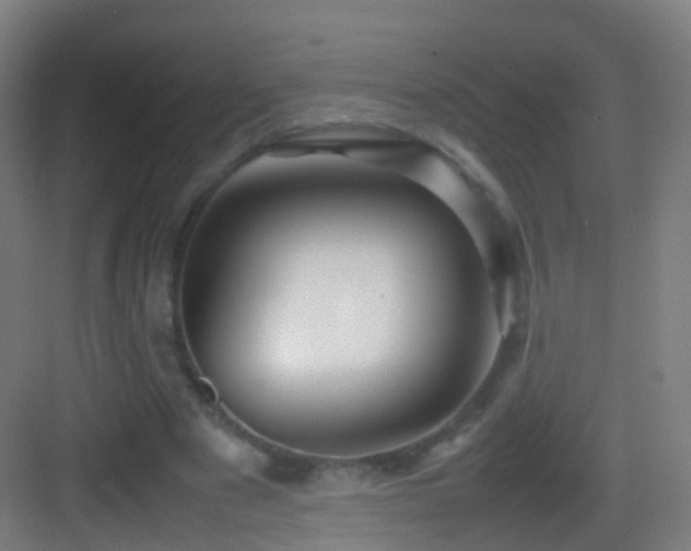 X0000083600489200702091224