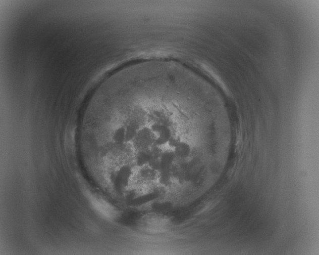 X0000083600491200702091224