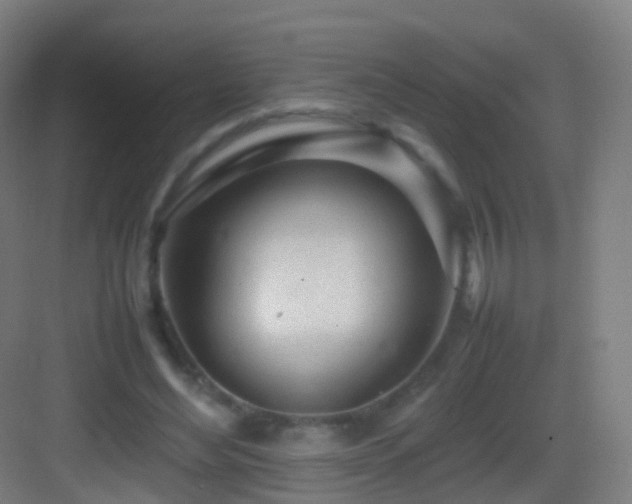 X0000083600492200702091224