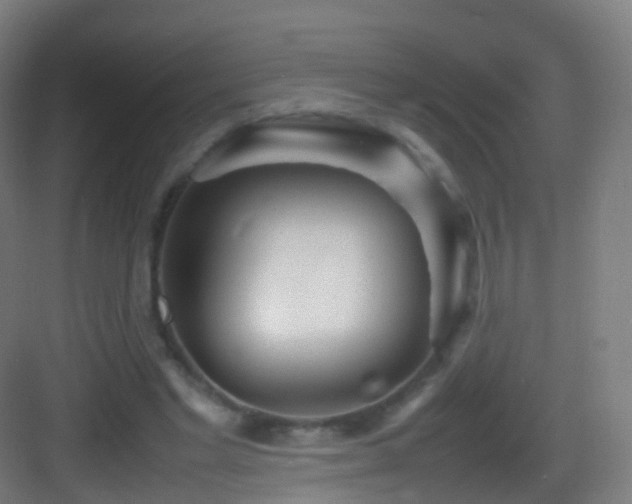 X0000083600493200702091224