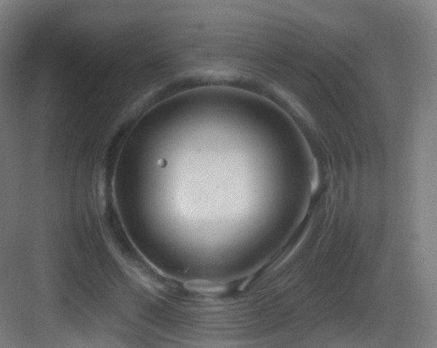 X0000083600494200702091224